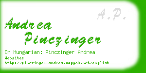 andrea pinczinger business card